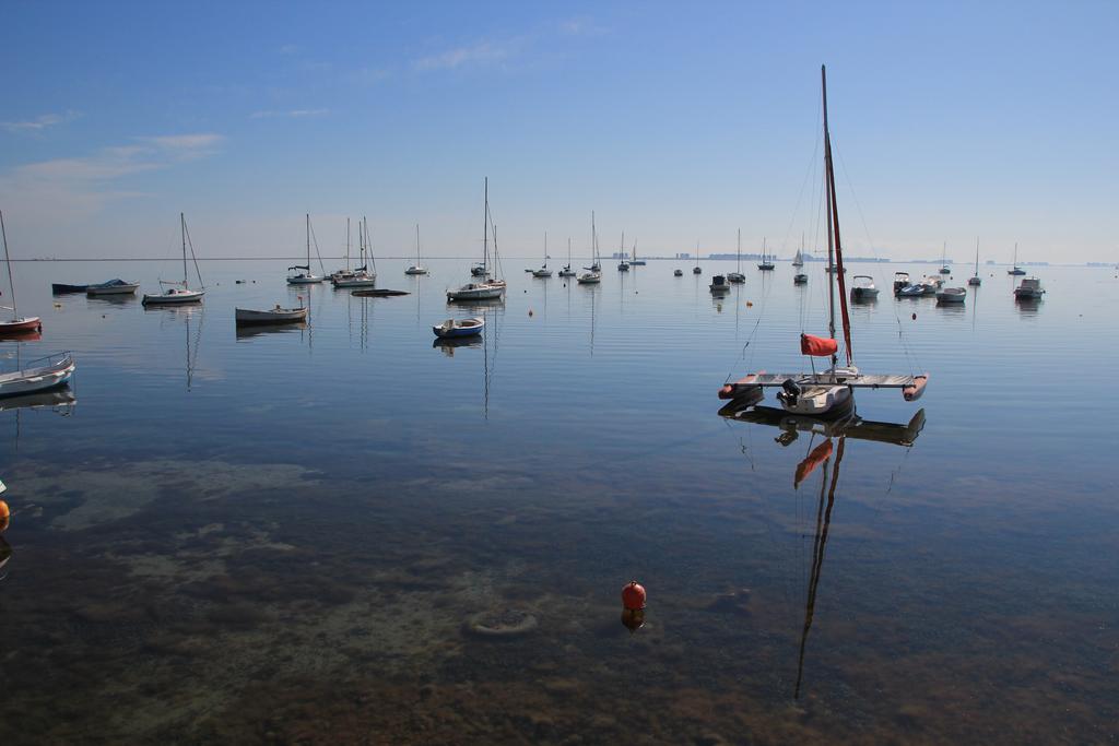 El Marino